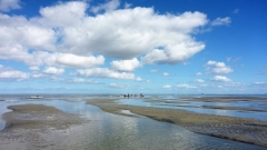 Nordsee-19-OU-8