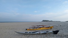 PXL_20240526_045929556