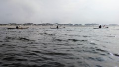 PXL_20240526_081332523