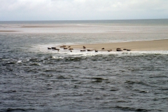 2017 Nordsee TK (41)
