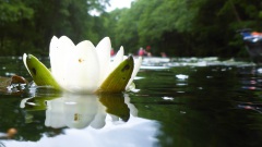 Ratzeburg-2024-OU-25