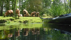 Ratzeburg-2024-OU-26