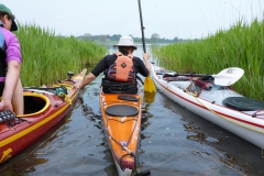 Schlei 18 OU (1)