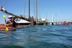 Schlei 18 OU (10)