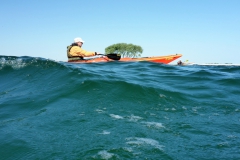 Schlei 18 OU (12)