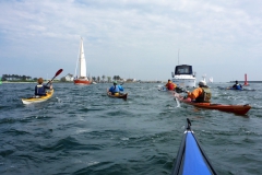 Schlei 18 OU (3)