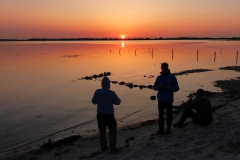 Schlei 18 OU (7)