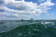 Schlei OU (18)