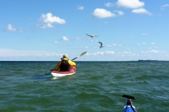 Schlei OU (9)