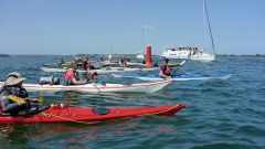 Schlei-2023-OU-2