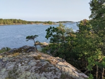 PXL_20210717_163004044