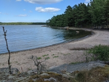 PXL_20210718_131403148