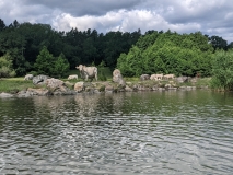 PXL_20210719_085437498