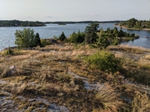 PXL_20210722_164100660
