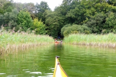 Selenter See (24)