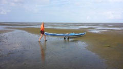 OU-Nordsee-Eider-2025-1