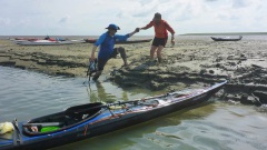 OU-Nordsee-Eider-2025-2