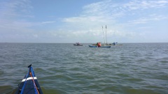 OU-Nordsee-Eider-2025-4