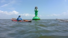 OU-Nordsee-Eider-2025-5