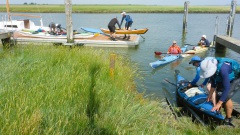 OU-Nordsee-Eider-2025-7