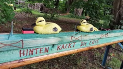 Ente-2