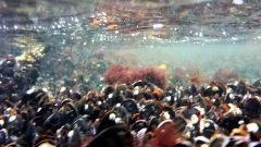 26.9.22-SfE-OU-1