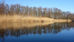 Schwentine-6.3.22-OU
