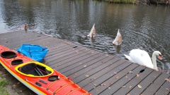 20241124_-Sonntags_-3 20241124_-Sonntags_-3