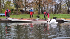 20241124_-Sonntags_-4 20241124_-Sonntags_-4