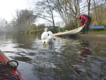 20241124_-Sonntags_-5