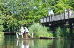 Seilfaehre