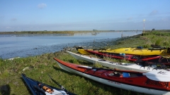 Eider-OU-1
