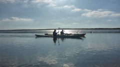 Eider-OU-6