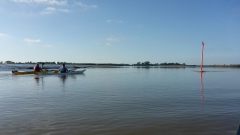 Eider-OU-7