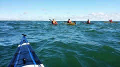 Putlos-Fehmarn-OU-3