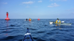 17.2. OU (1)